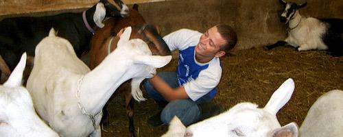WEP Belgium Farmstay
